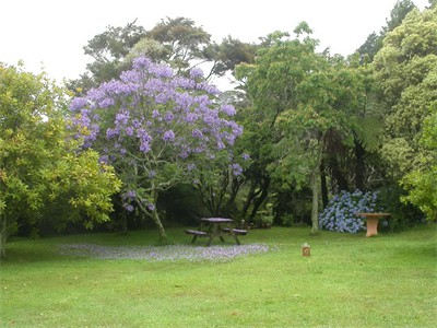  PICNIC AREA