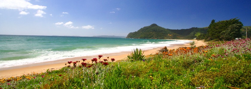 Kuaotunu near Whitianga, Coromandel Peninsula, NZ